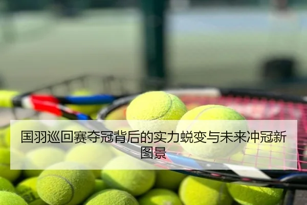 国羽巡回赛夺冠背后的实力蜕变与未来冲冠新图景
